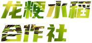 桦川县龙粳水稻专业合作社 佳木斯米厂